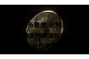 比特派币管理  比特派币管事还提供多种支付方式和资金科罚用具